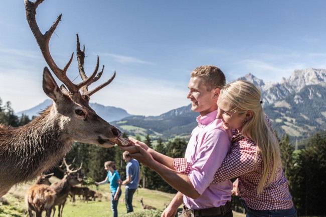 Pärchen füttern einen Hirsch © Hochkönig Tourismus GmbH 